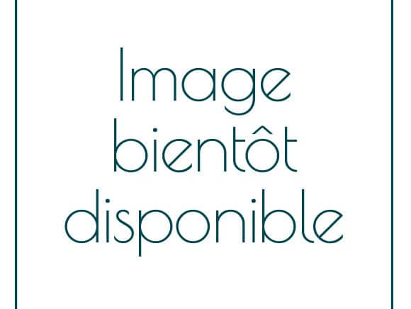 Texte indicatif