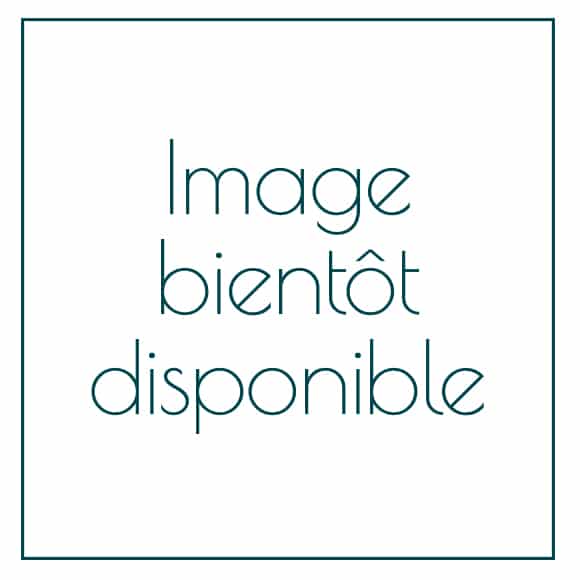 En attente de l’image du produit