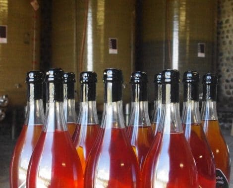 40313-cidre-bearnais-5